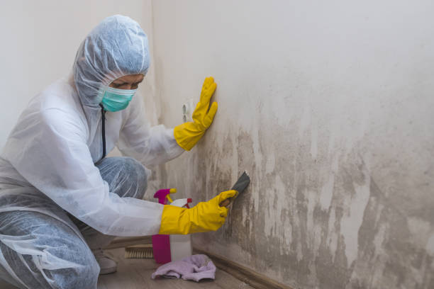 Best Crawl Space Mold Removal  in Berkeley, MO