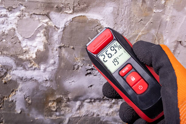 Best Fast Mold Removal  in Berkeley, MO