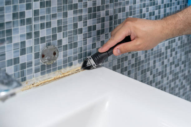 Best Emergency Mold Removal  in Berkeley, MO